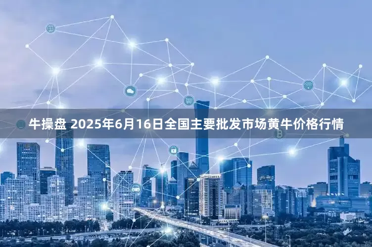 牛操盘 2025年6月16日全国主要批发市场黄牛价格行情