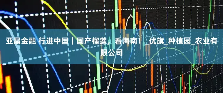 亚晶金融 行进中国｜国产榴莲，看海南！_优旗_种植园_农业有限公司