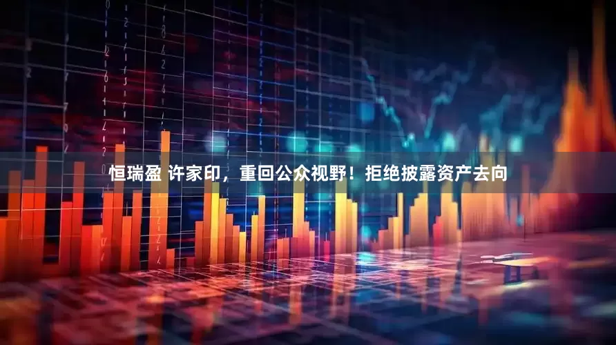 恒瑞盈 许家印，重回公众视野！拒绝披露资产去向