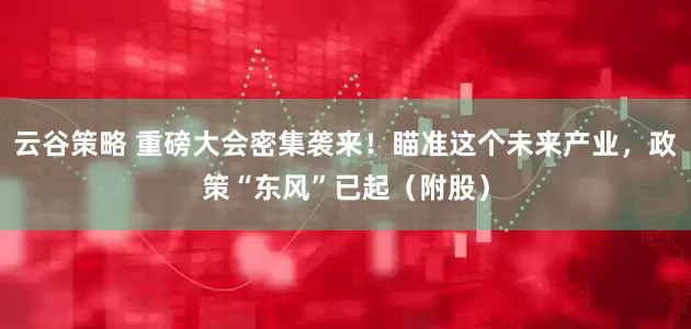 云谷策略 重磅大会密集袭来!瞄准这个未来产业,政策“东风”已起(附股)